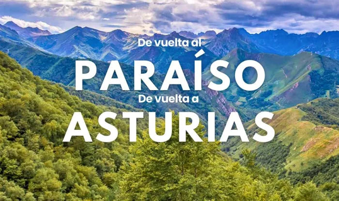 Vuelta al Paraíso , Vuelta a Asturias : Siluvio