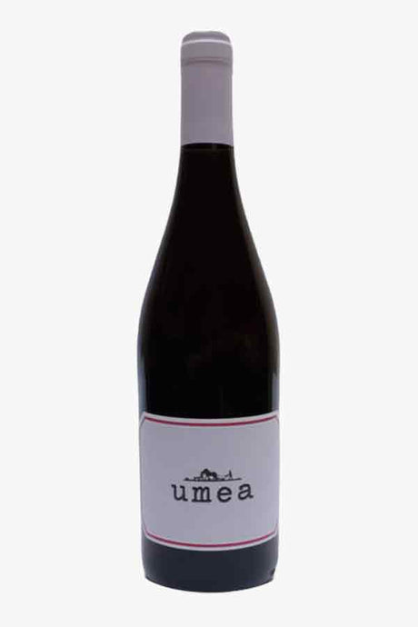 Umea Tinto